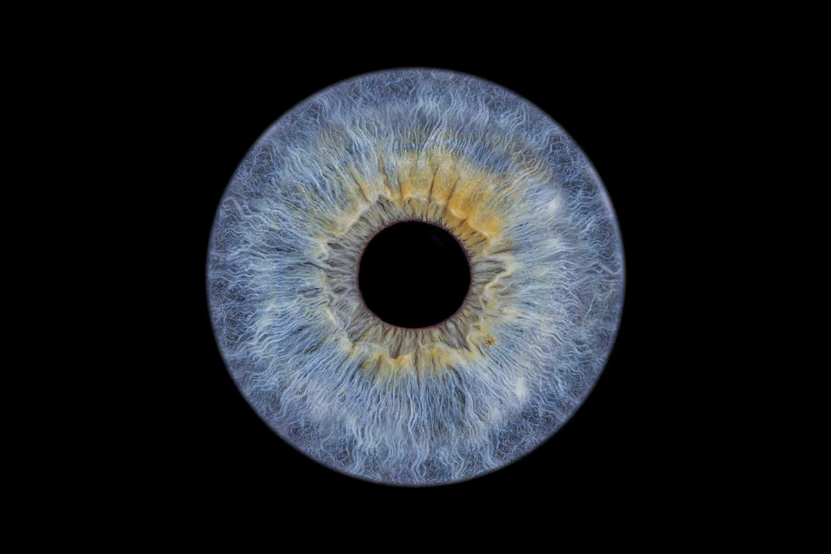 Warum Babys oft blaue Augen haben – Augenfarbe entwickelt sich in den ersten Lebensjahren