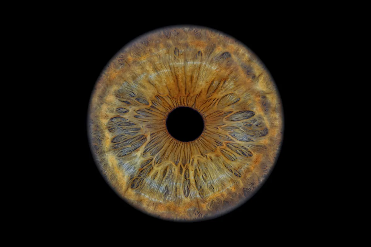 Können Augen ihre Farbe ändern? Iris mit Farbverläufen und Pigmenten