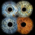 Irisshooting augsburg münchen familienbild 4personen