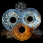 Irisshooting augsburg münchen familienbild 3 personen