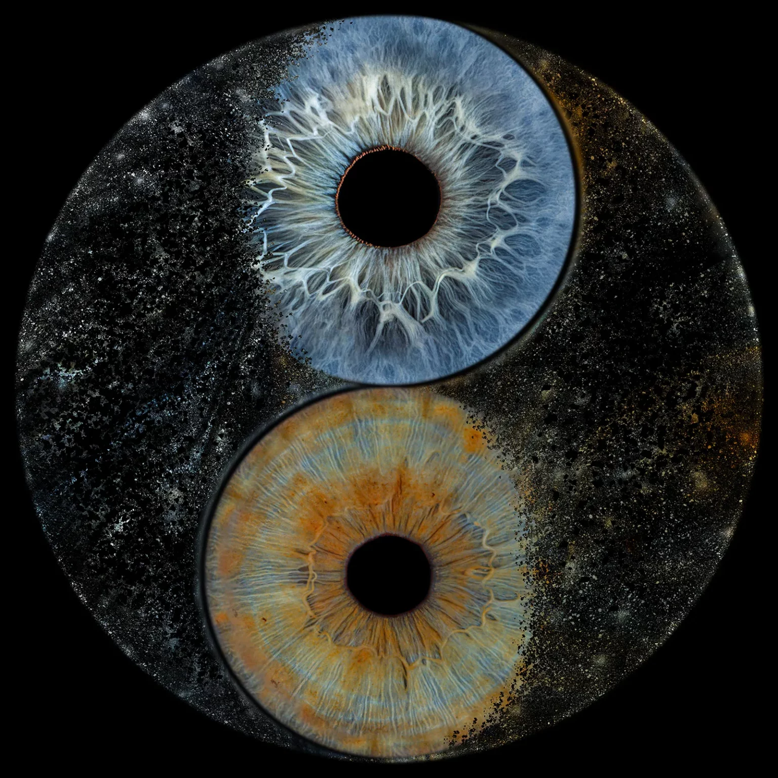 Iris Kunstwerk – Detailmotiv