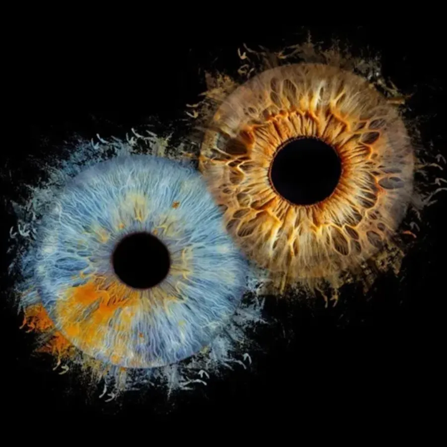 Iris Fotografie Paar – Fusion Motiv