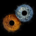 iris fotografie in augsburg