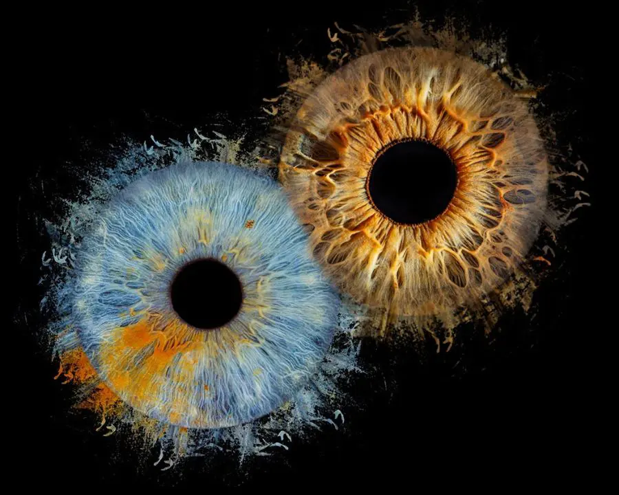 iris fotografie ingolstadt- paar irisshooting