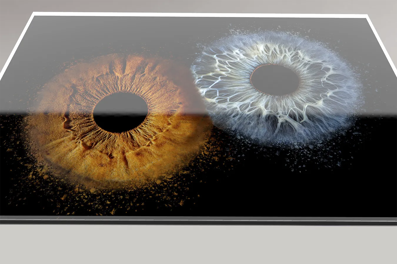 GalleryPrint Iris Wandbild